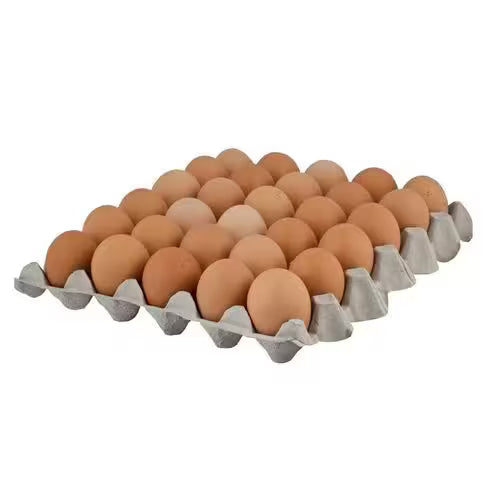Vajcia podstielkový chov L 30ks Tatranské