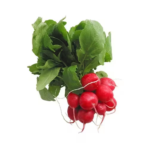Reďkovka červená zväzok, I.Tr