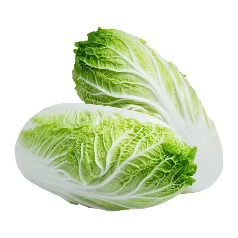 Kapusta čínska