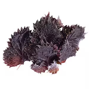 Vňať - Shiso Leaves červené, I.Tr