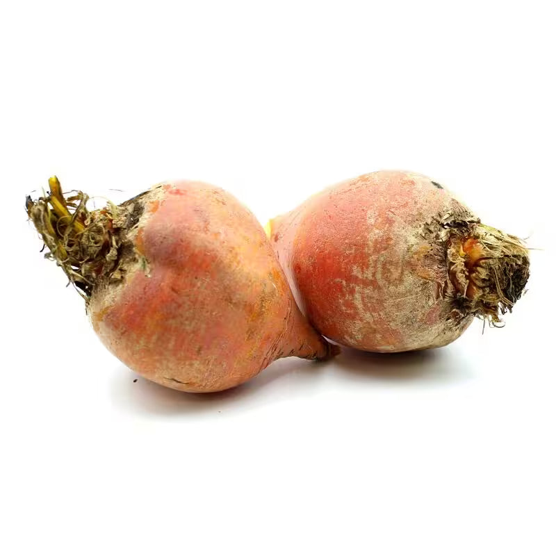 Cvikla zlatá