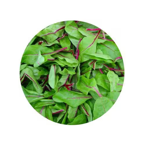 Šalát - Red chard 125g, I.trieda