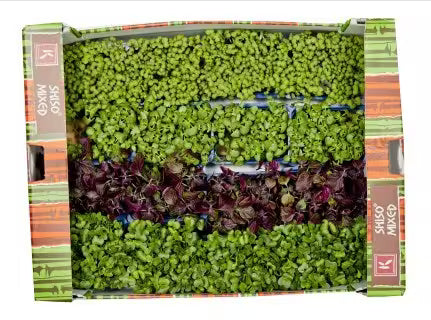 Vňať - Shiso mix vanička, I.Tr