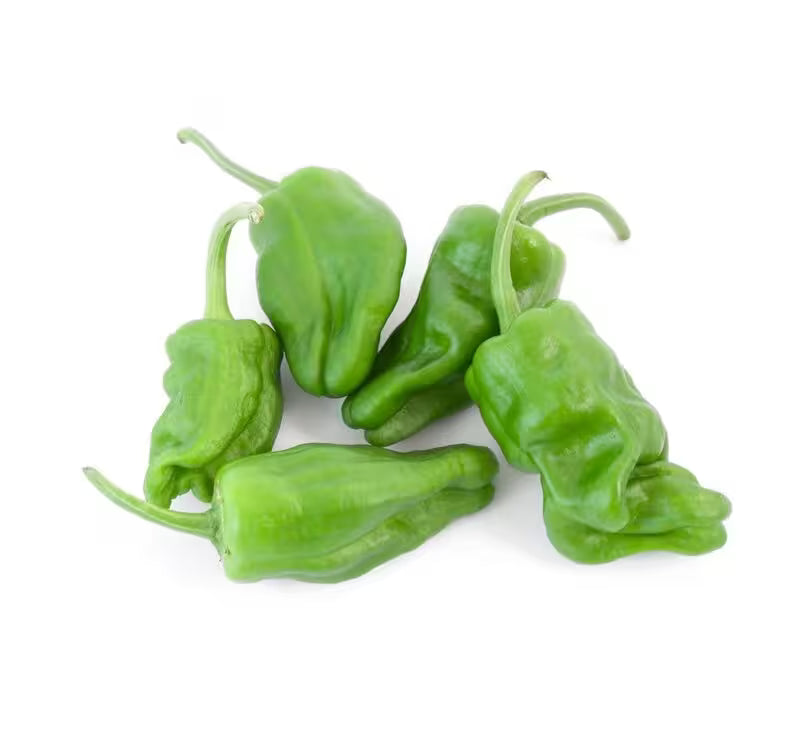 Paprika Padrone