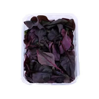 Šalát - Bull blood 125g, I.Tr