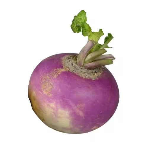 Kvaka turnip