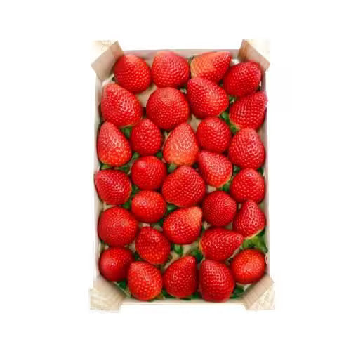 Jahody 1kg ,I.Tr