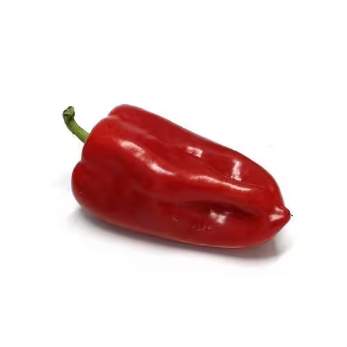 Paprika červená Kápia kal. 40+