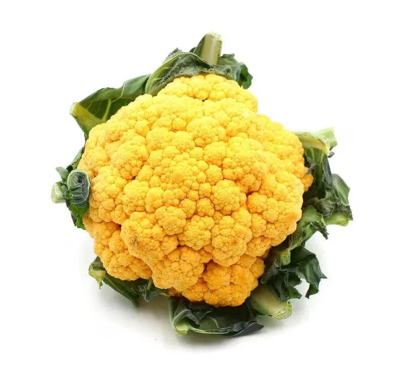 Karfiol oranžový