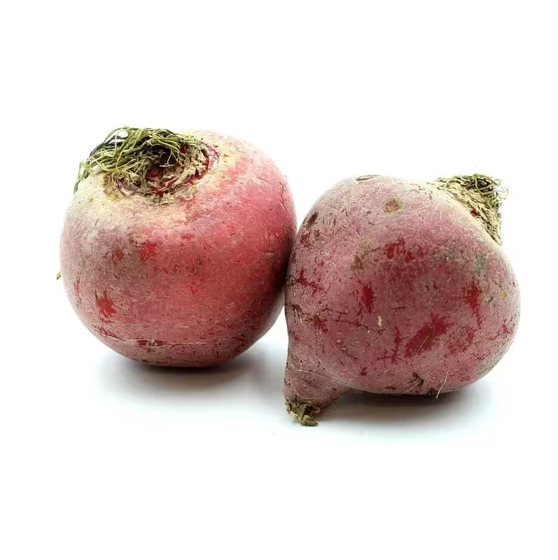 Cvikla Chioggia