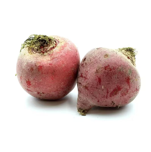 Cvikla Chioggia