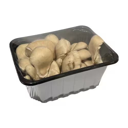 Hliva ustricová balená 300g, I.trieda